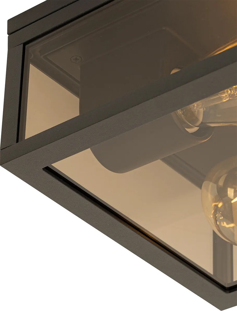 Stropné svietidlo čierne s dymovým sklom 2-žiarovkové IP44 - Charlois