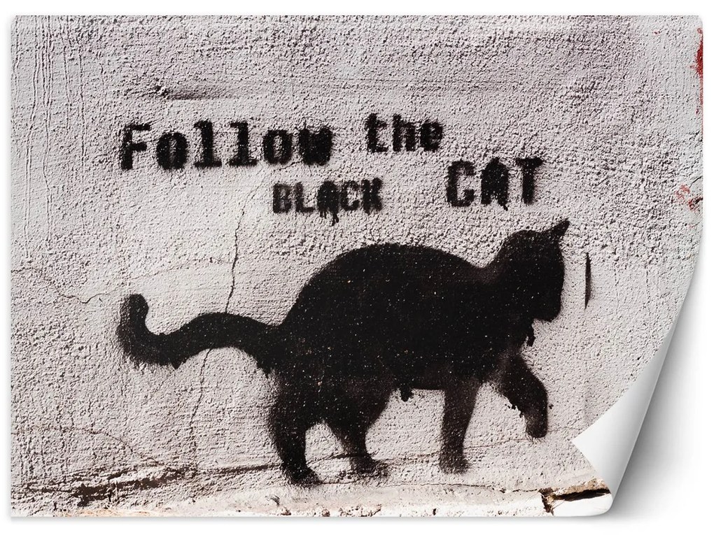 Gario Fototapeta Čierna mačka - sledovať čiernu mačku, betón Materiál: Vliesová, Rozmery: 200 x 140 cm