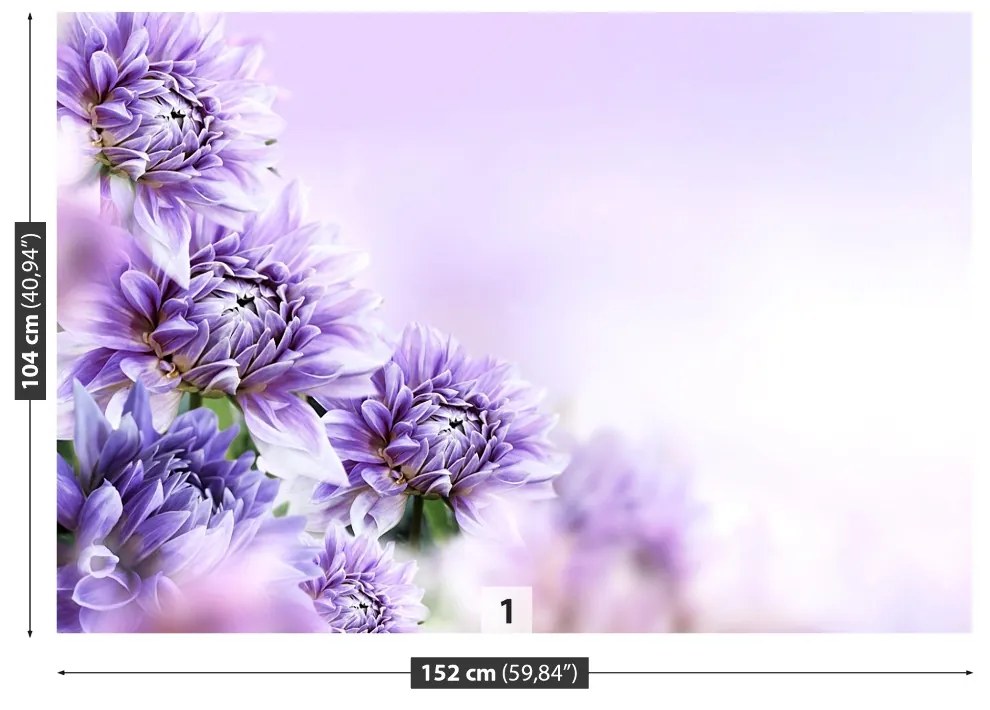 Fototapeta Vliesová Fialové kvety 104x70 cm
