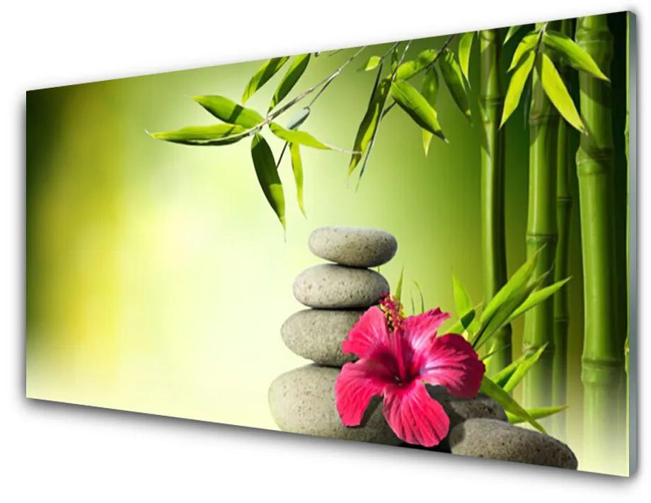 Skleneny obraz Bambus kvet kamene zen 100x50 cm