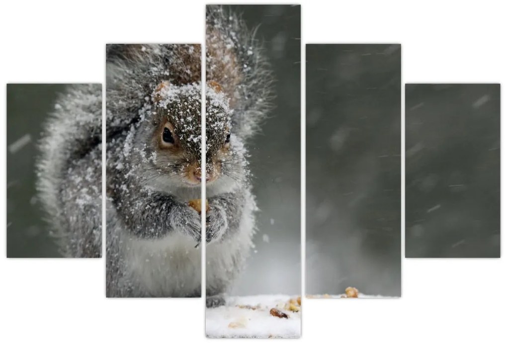 Obraz - Veverička v zime (150x105 cm)