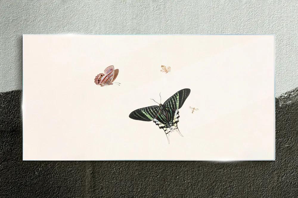 Obraz na skle Moderné bug hmyz motýľ