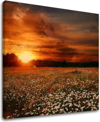 Obraz na stenu KRAJINA