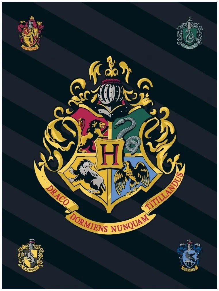 Fleecová deka Harry Potter s erbom školy čarodejníckej na Rokforte - Polar Fleece - 100 x 140 cm