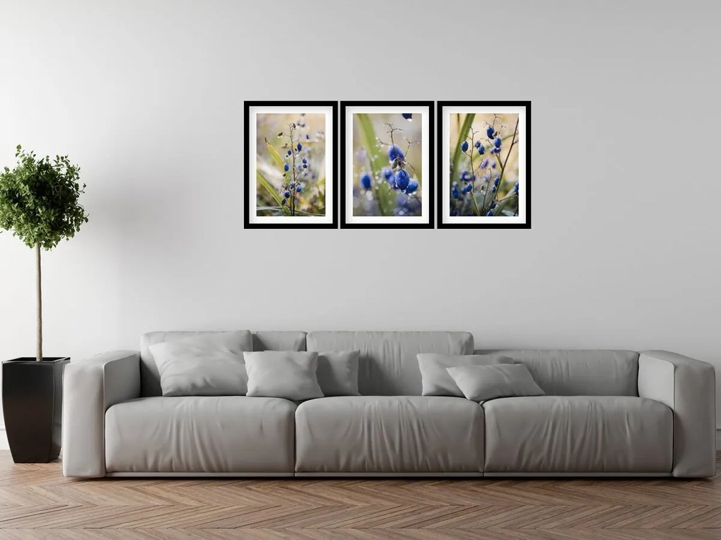 Gario Sada plagátov Lesné ovocie - 3 dielna Farba rámu: Rustikálna, Veľkosť: 135 x 63 cm