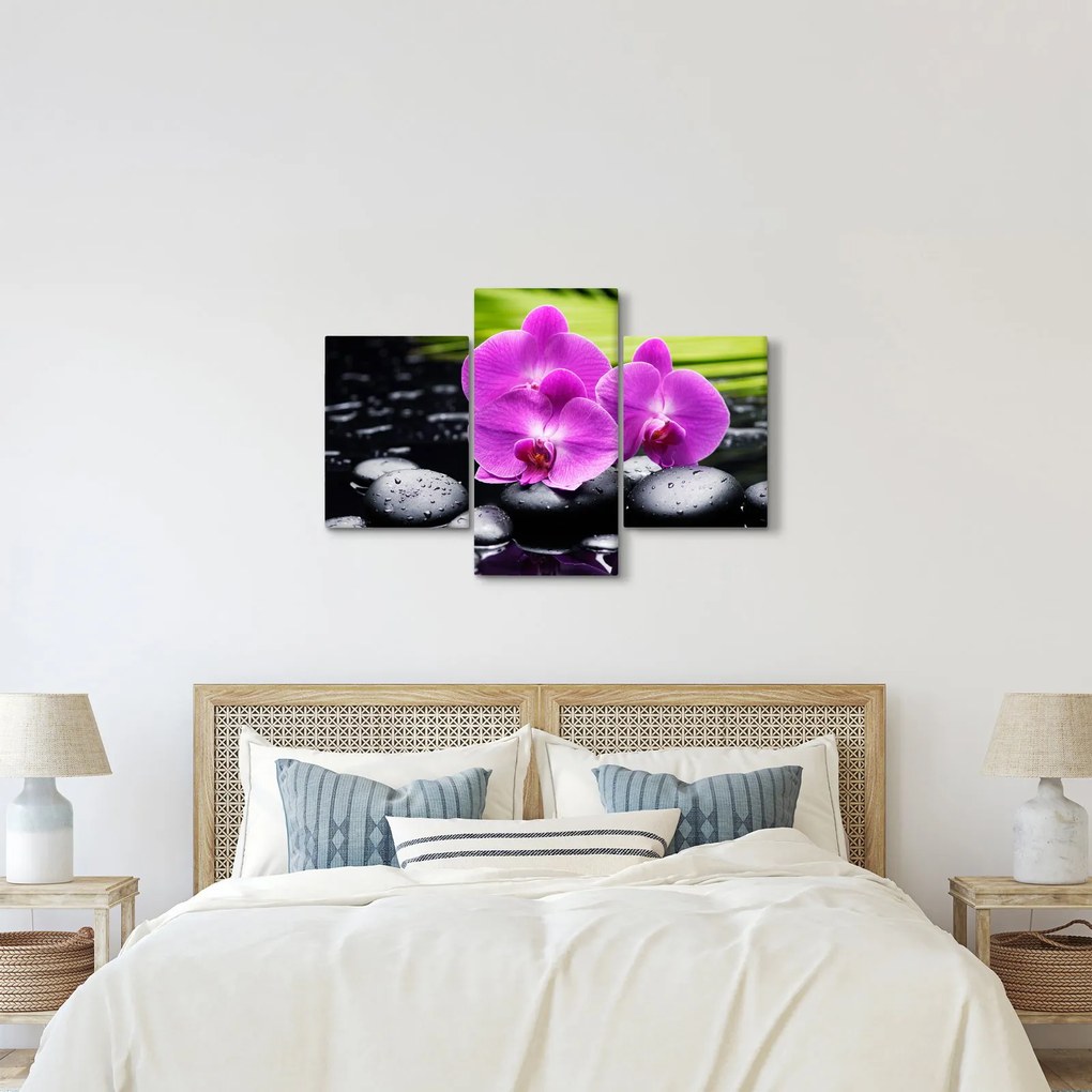 Obraz - Orchidey (90x60 cm)