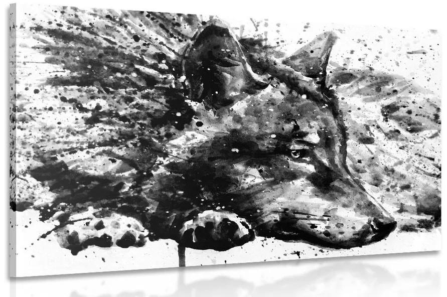 Obraz vlk v akvarelovom prevedení v čiernobielej farbe Varianta: 90x60