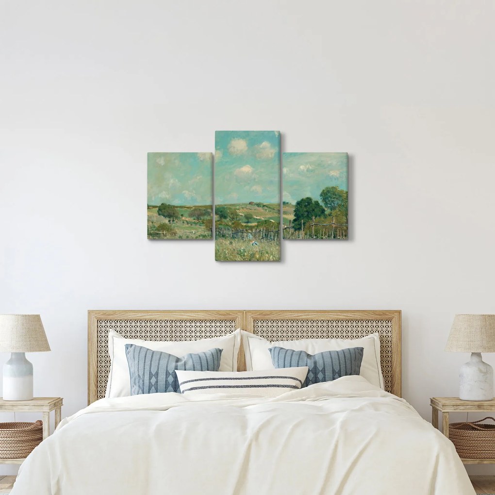 Obraz - Alfred Sisley, Meadow, reprodukcia (90x60 cm)