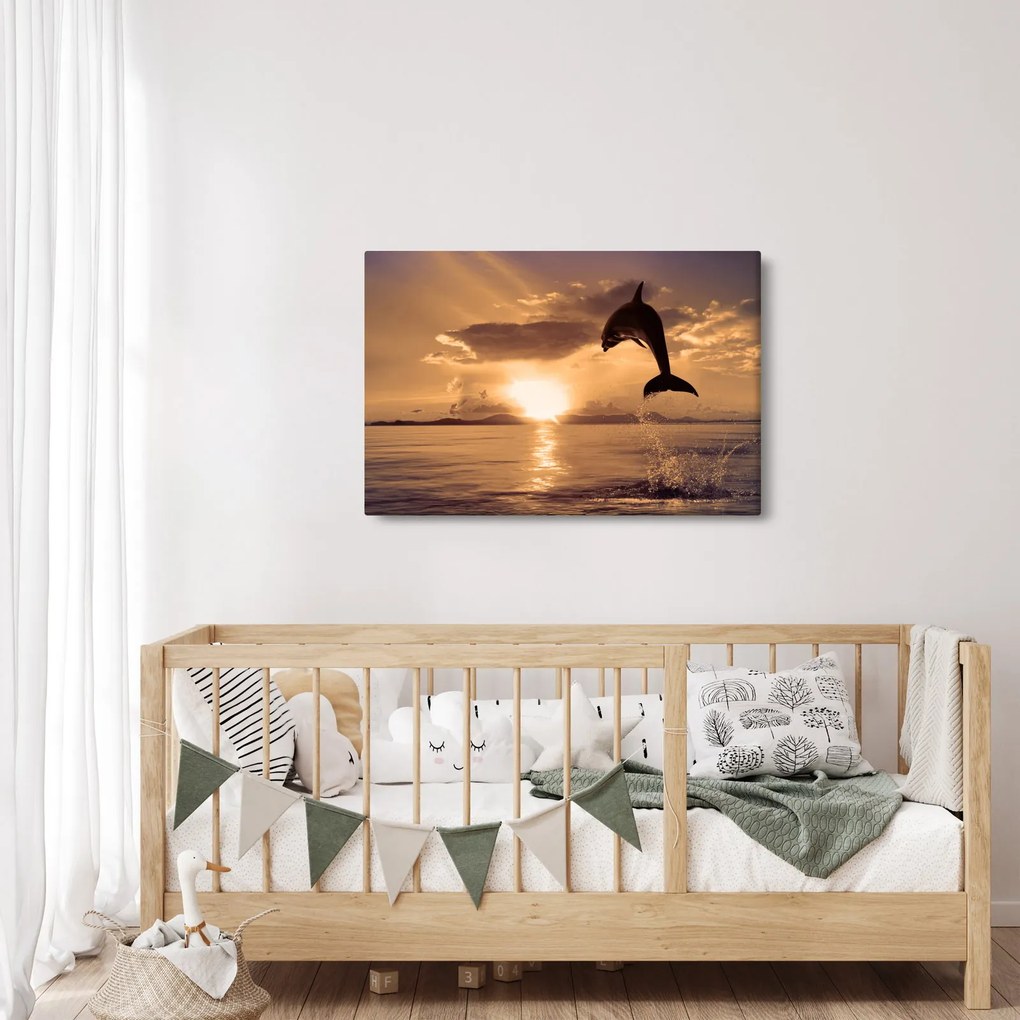 Obraz - Delfín pri západe slnka (90x60 cm)