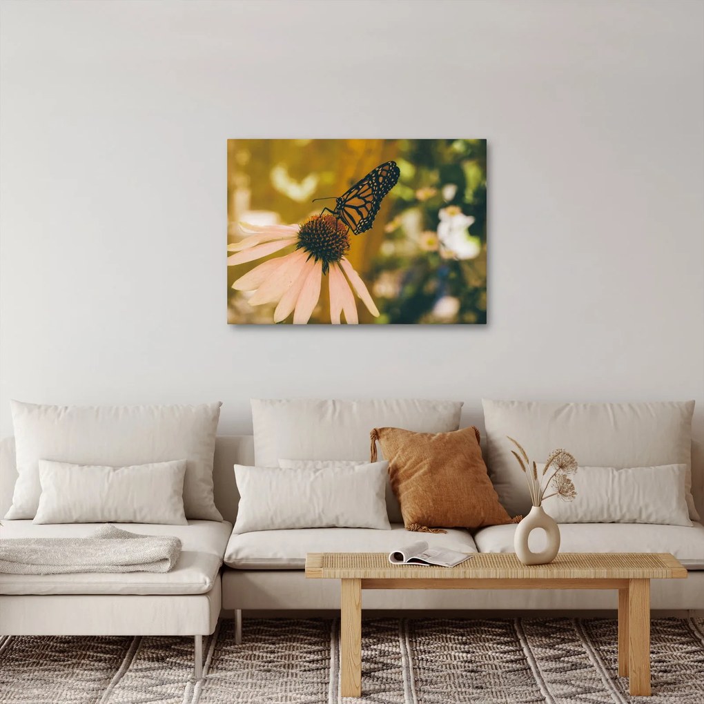 Obraz motýľa na kvetine (70x50 cm)