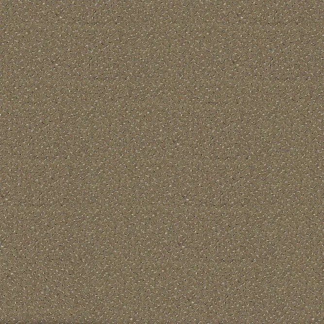 Koberec metráž Fortessa SDE New 40, na mieru, šíře 4m, hnedá, ab (mriežka), chodba / predsieň, Balta