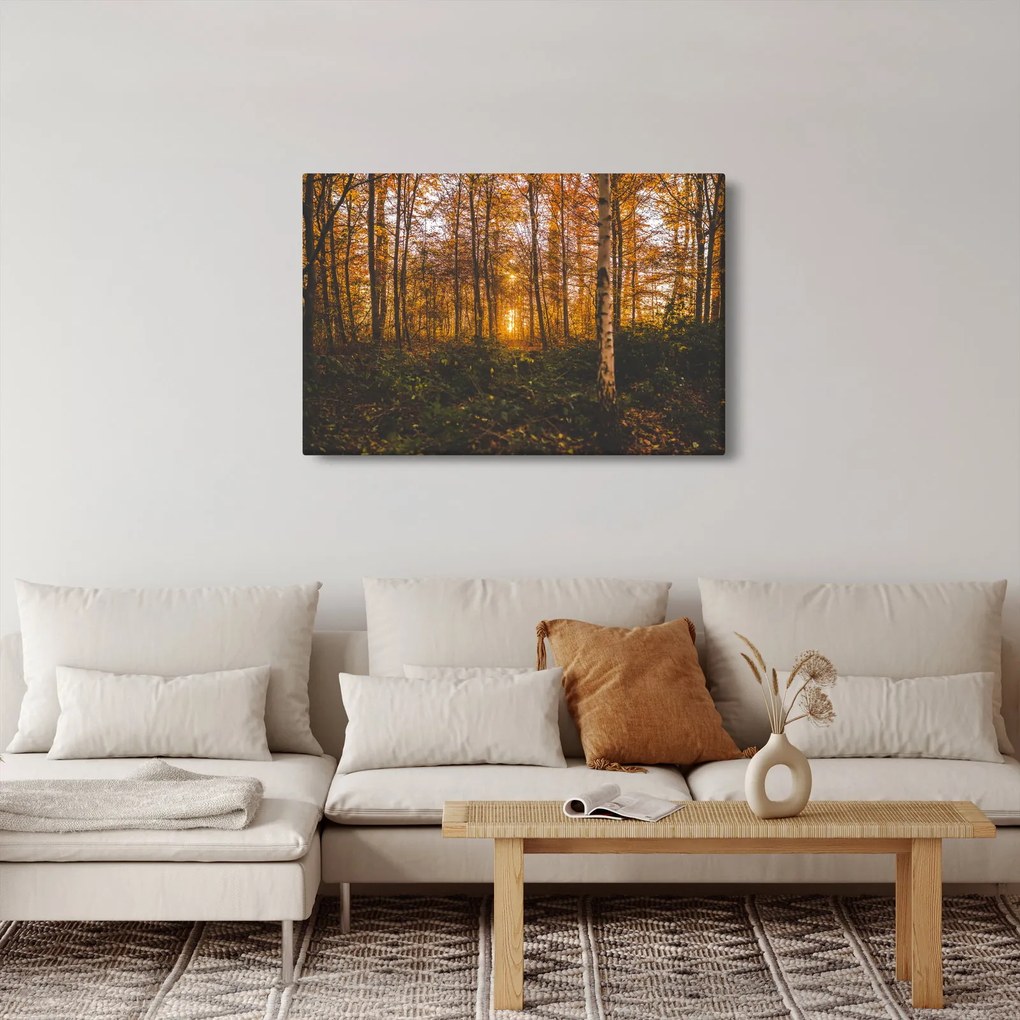 Obraz jesenného lesa (90x60 cm)
