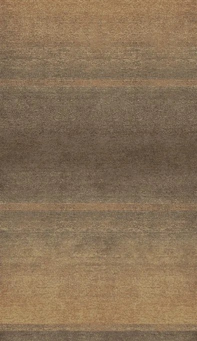 Koberec Agent 40440/880 hnedý