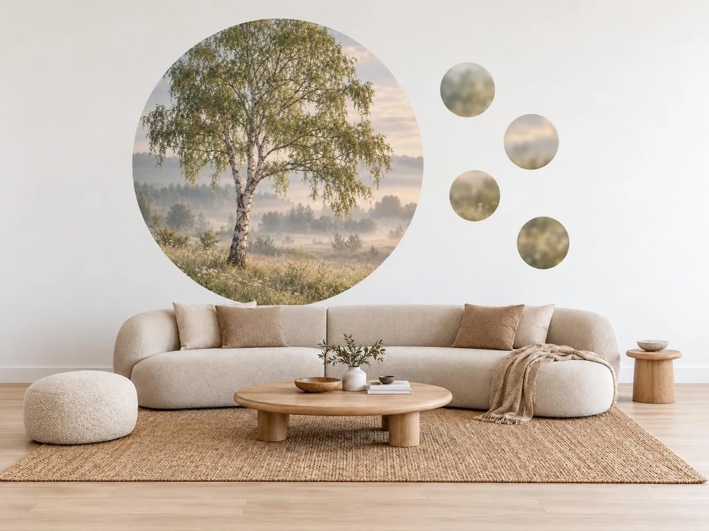 Breza v ranej hmle fotografické textilné nálepky na stenu do spálne arch 46 x 46 cm
