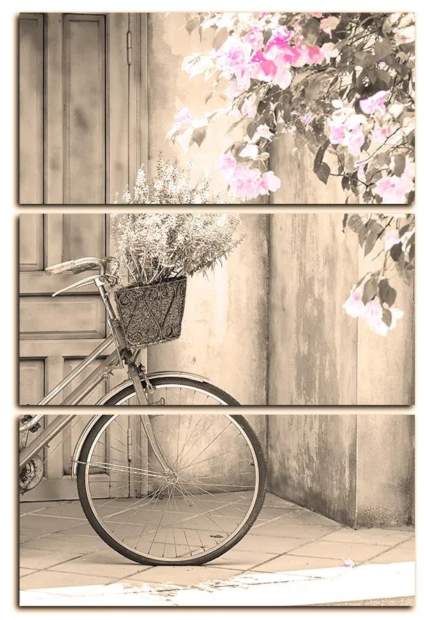 Obraz na plátne - Pristavený bicykel s kvetmi - obdĺžnik 774FB (90x60 cm  )