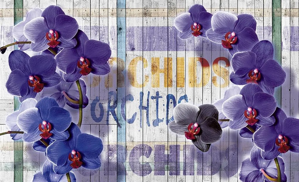 Fototapeta - Orchidea (152,5x104 cm)