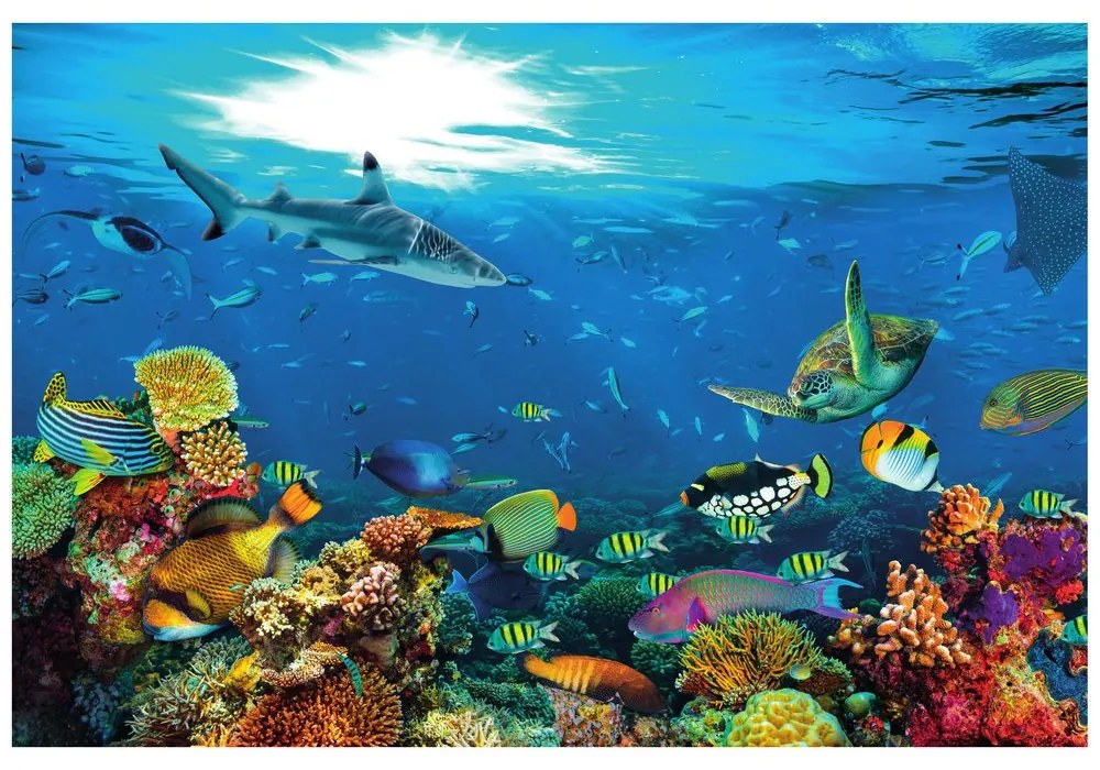 Samolepiaca fototapeta podvodný svet