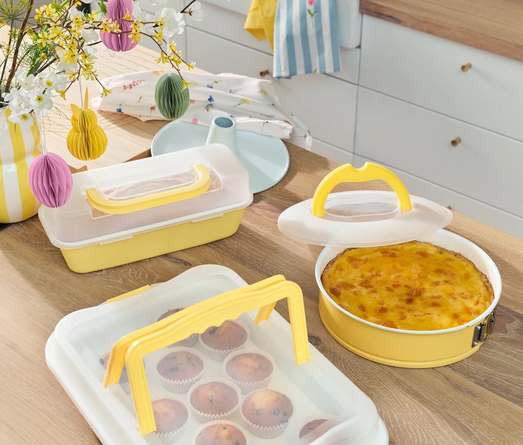 Hranatá forma na pečenie s vekom