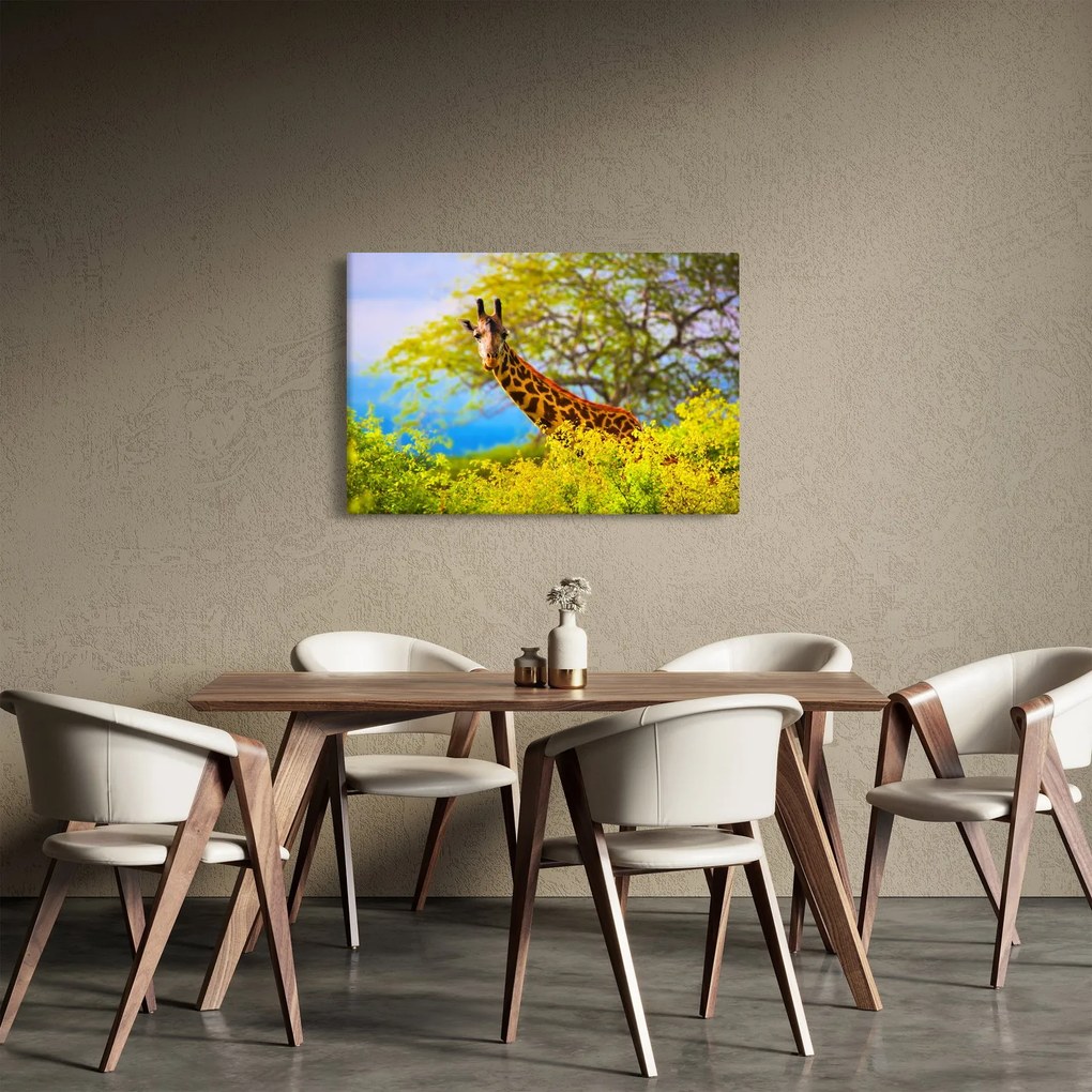 Obraz žirafy v Afrike (90x60 cm)