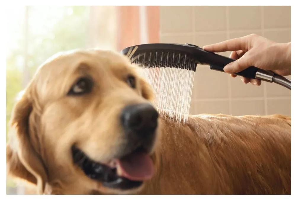 Hansgrohe DogShower - Ručná sprcha pre psa, biela matná 26640700