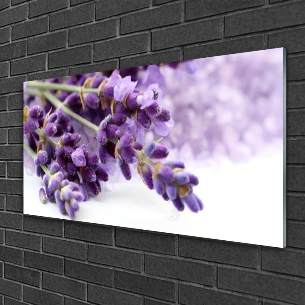 Skleneny obraz Kvety príroda rastlina 100x50 cm