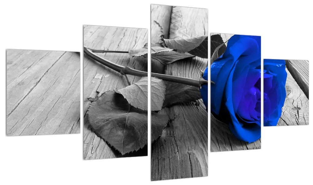 Obraz modrej ruže (K012214K12570)