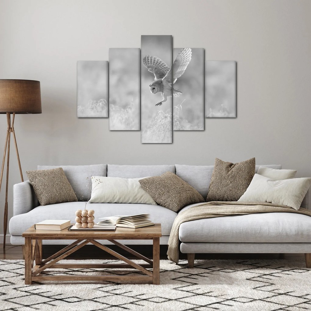 Obraz - Sova, čiernobiela (150x105 cm)