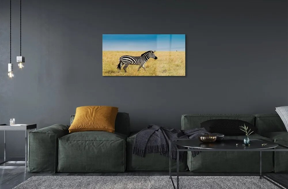 Sklenený obraz Zebra box 100x50 cm