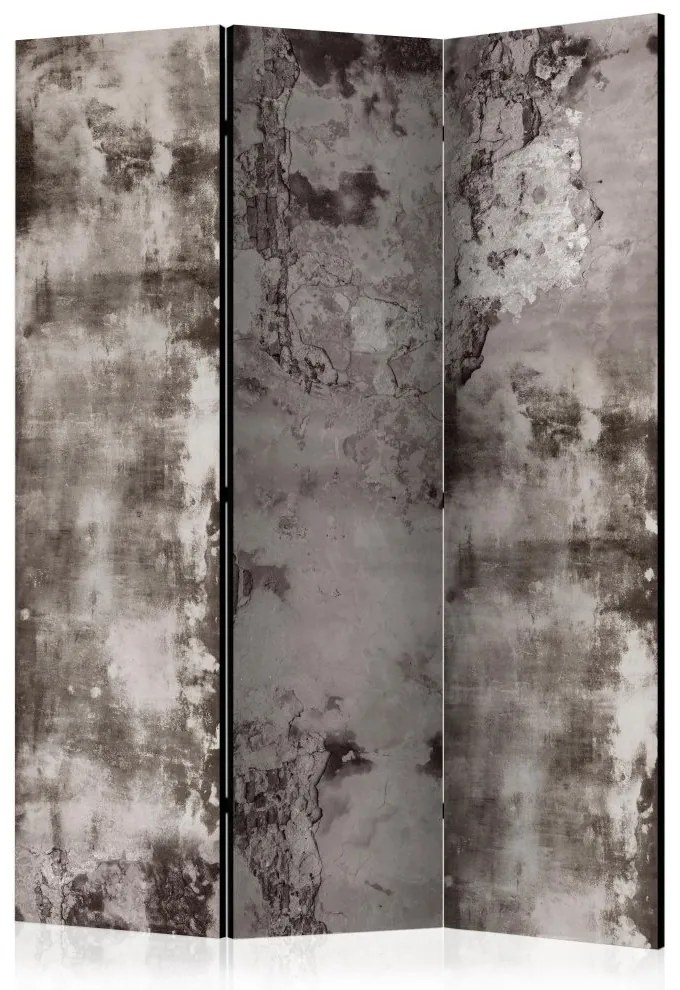 Artgeist Paraván - Old Plaster [Room Dividers]