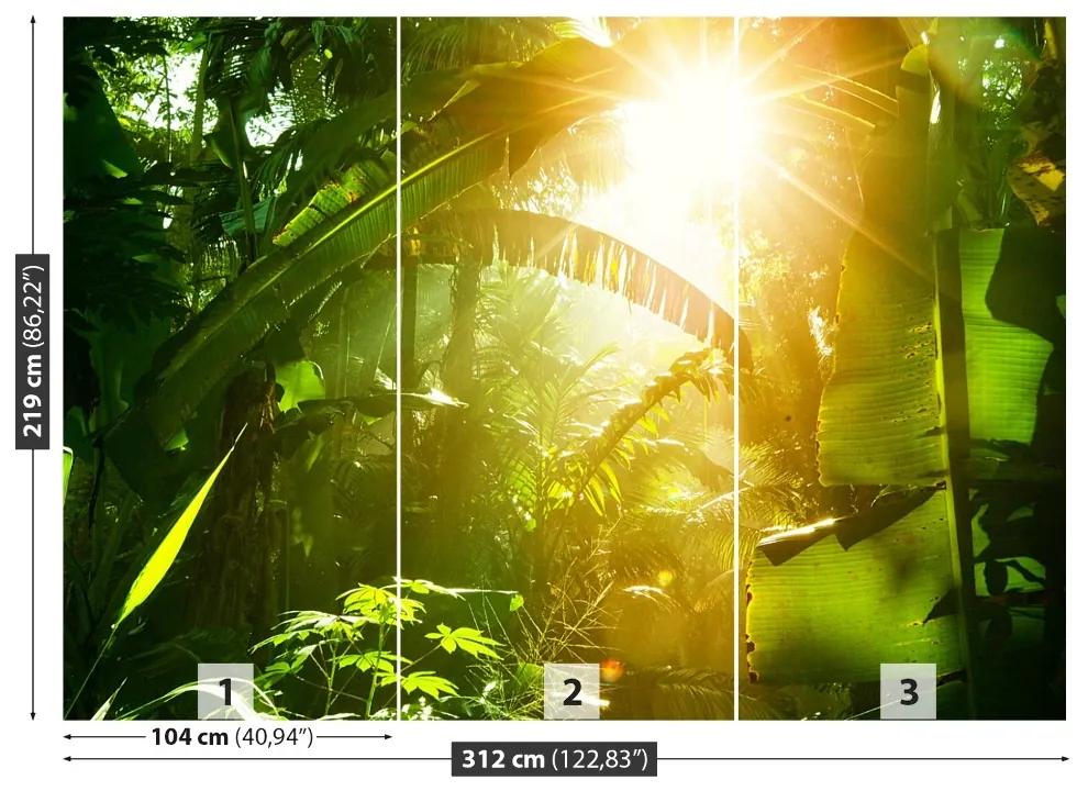 Fototapeta Vliesová Džungľa vietnam 208x146 cm