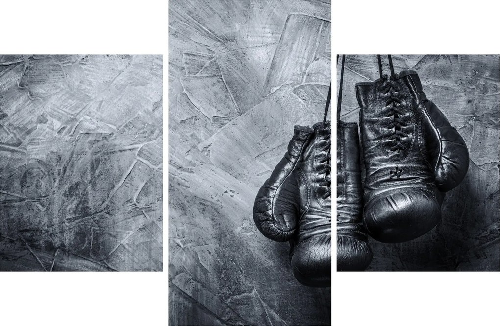 Obraz - Boxerské rukavice (90x60 cm)