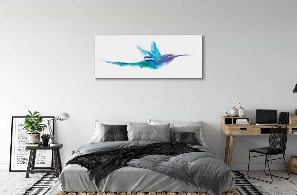 Obraz na akrylátovom skle Maľované papagáj 120x60 cm