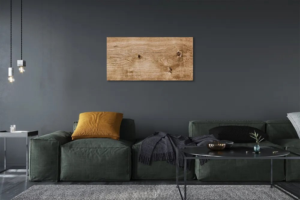 Obraz canvas Plank dreva 140x70 cm