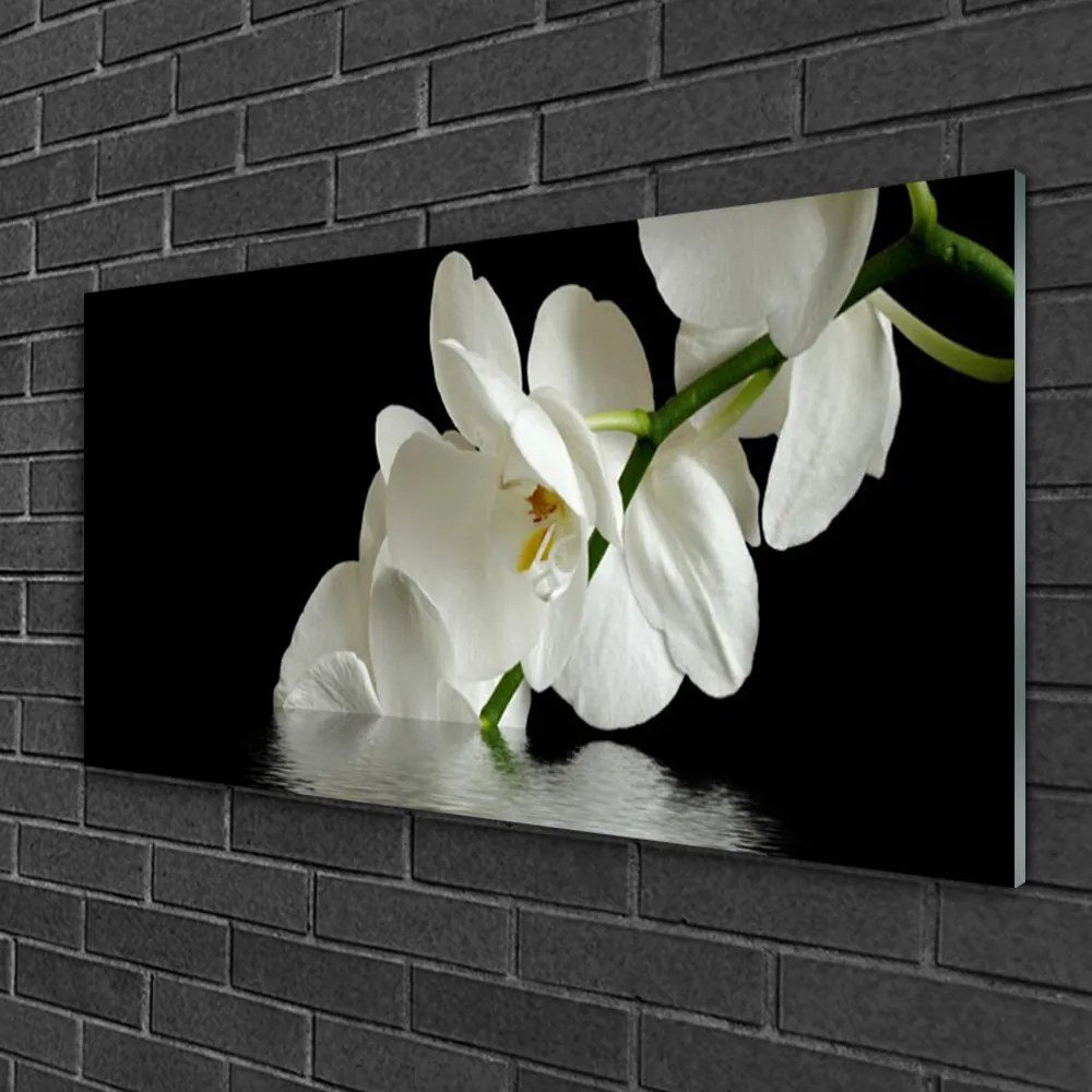 Skleneny obraz Orchidea vo vode kvety 120x60 cm