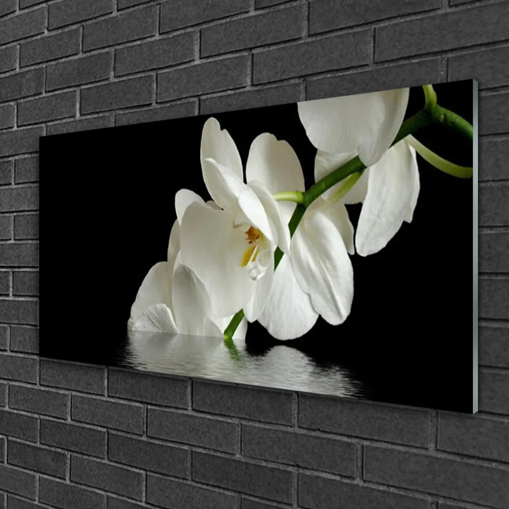 Skleneny obraz Orchidea vo vode kvety 140x70 cm