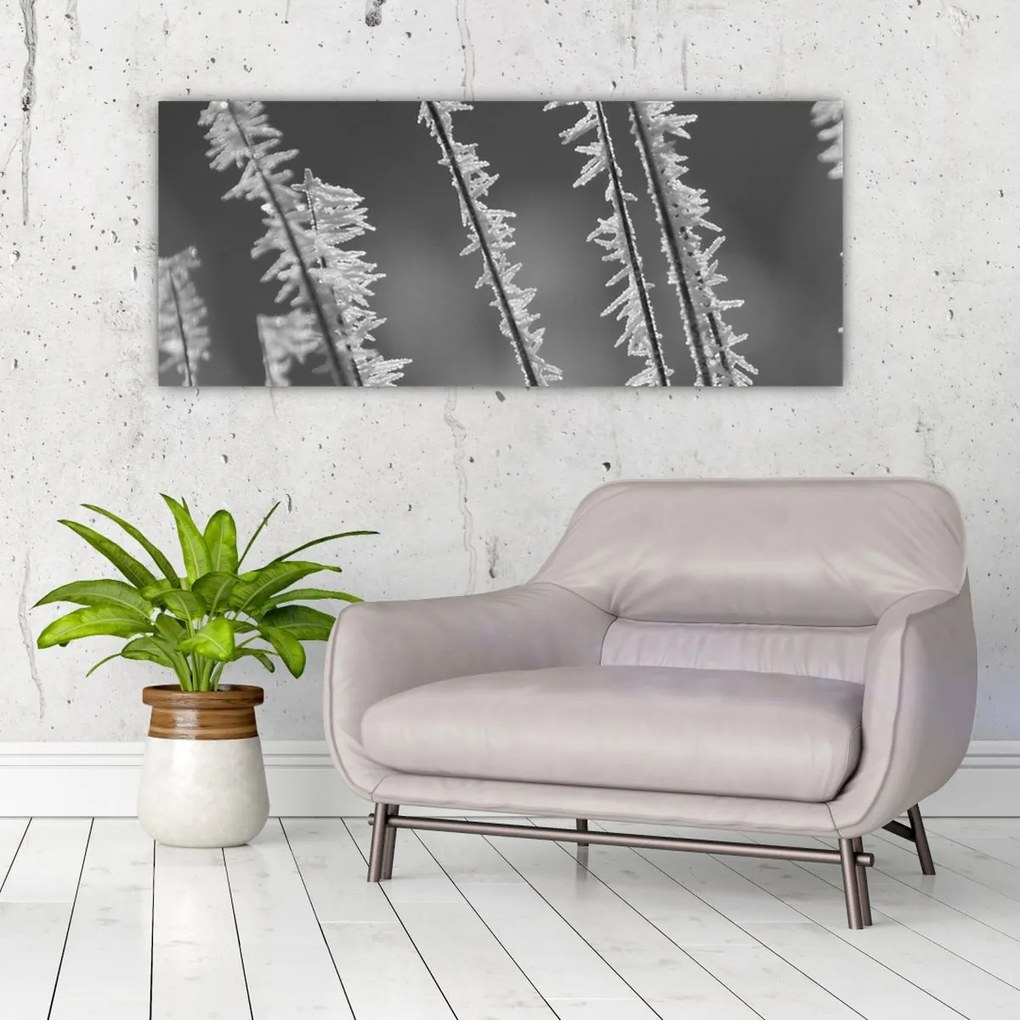 Obraz - Mrazivá zima (120x50 cm)