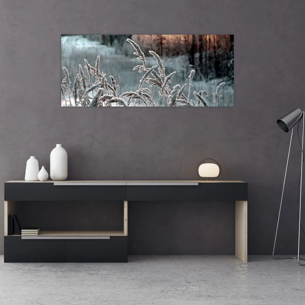 Obraz - Zamrznutá lúka (120x50 cm)