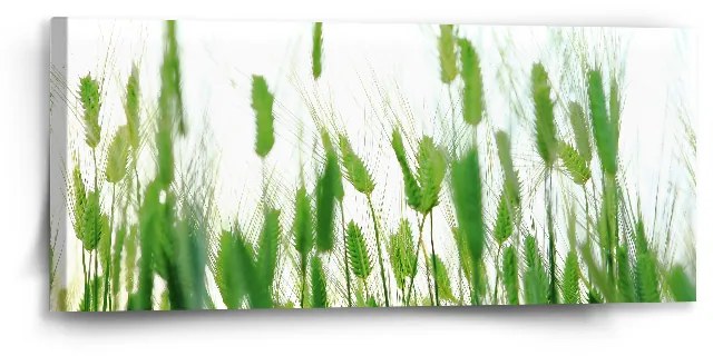 Sablio Obraz Klasy - 110x50 cm