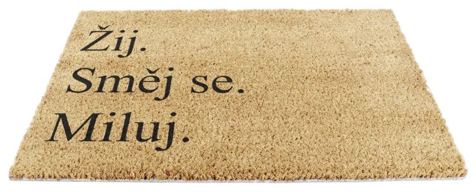 Rohožka z kokosového vlákna 40x60 cm Žij a Miluj – Artsy Doormats