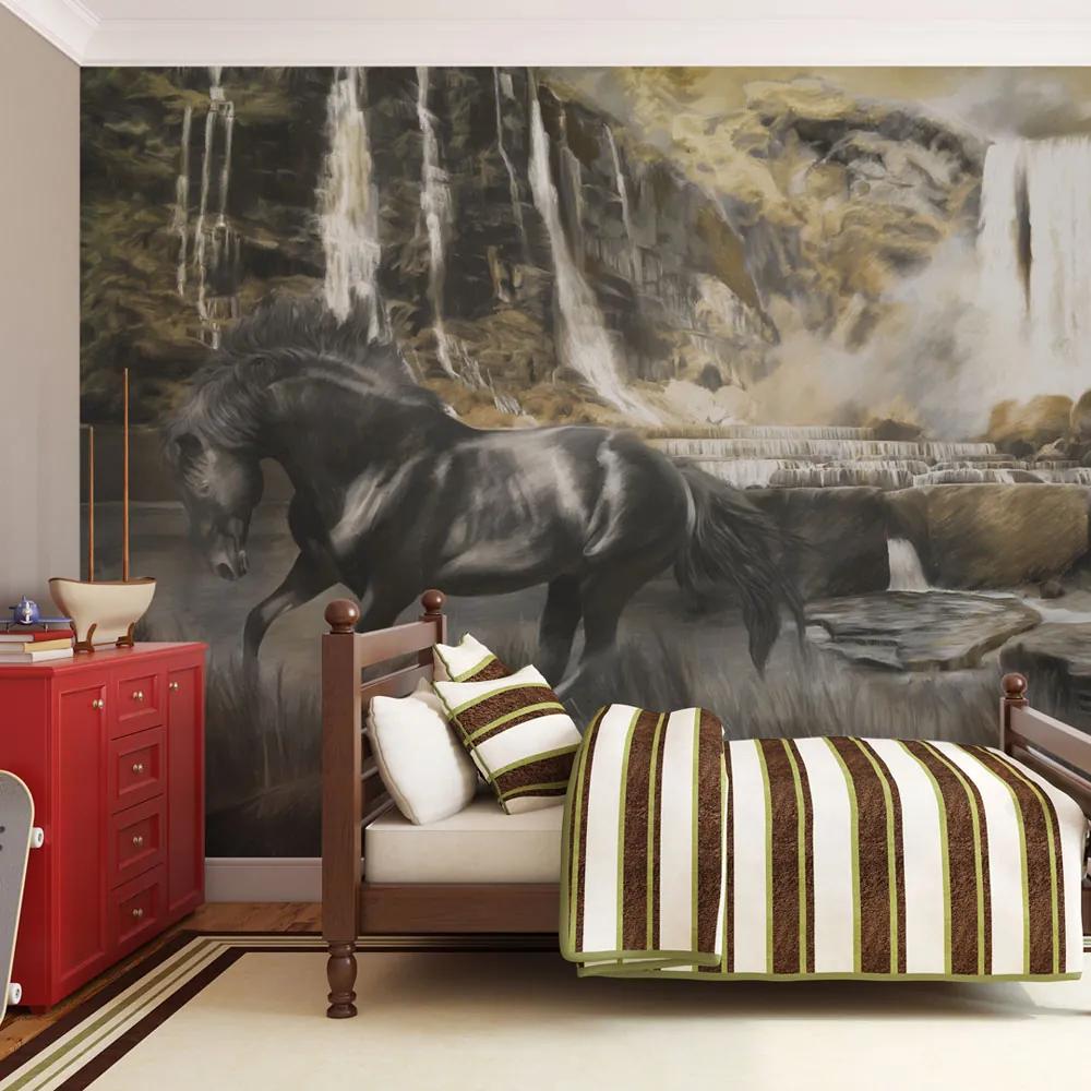 Fototapeta Bimago - Černý kůň a skalní vodopád + lepidlo zadarmo 350x270 cm