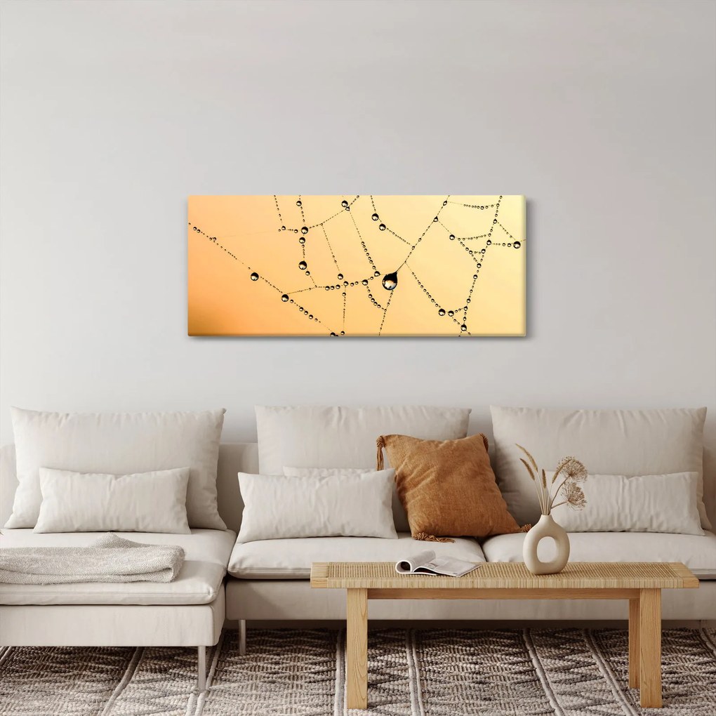 Obraz orosenej pavučiny (120x50 cm)