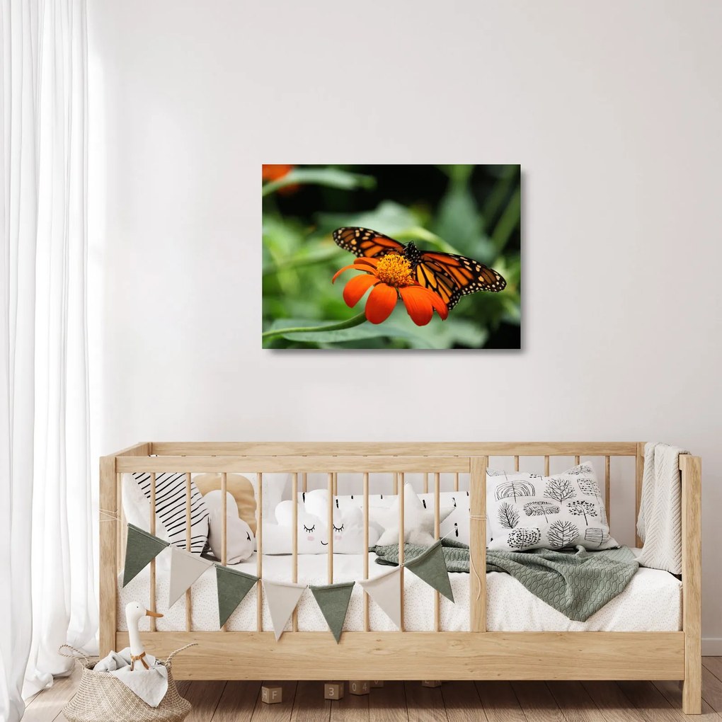 Sklenený obraz motýľa na kvetine (70x50 cm)