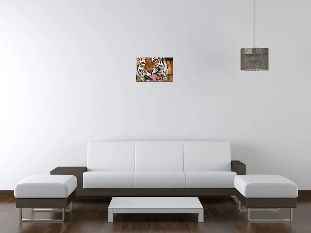 Gario Obraz na plátne Tiger a tigrík Rozmery: 30 x 20 cm