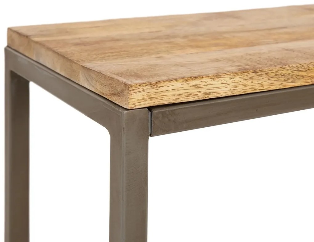 furniture-nabytek.cz - Masivní lavice Pune z mangového dřeva, lakovaná, hnědá