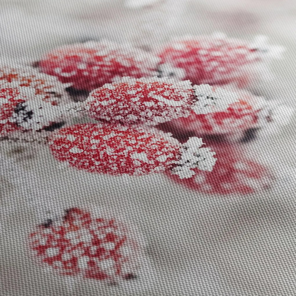 Obraz - Zamrznuté plody (90x60 cm)