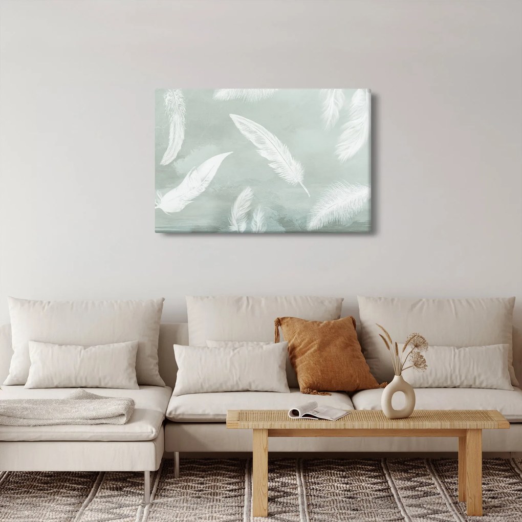 Obraz - Biele pierka (90x60 cm)