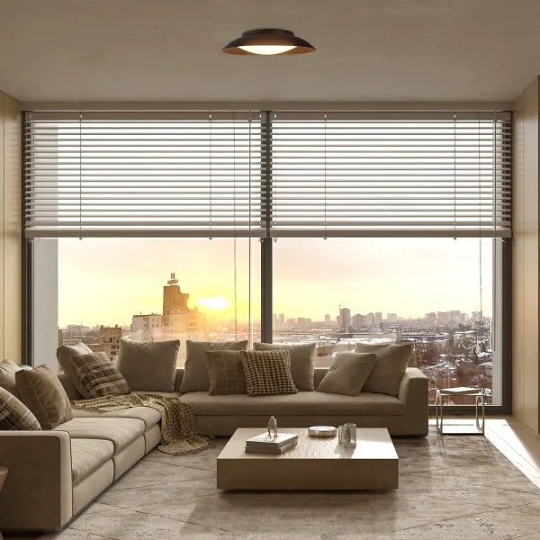 Rabalux 71188 - LED Stropné svietidlo HAFSA LED/20W/230V pr. 30 cm