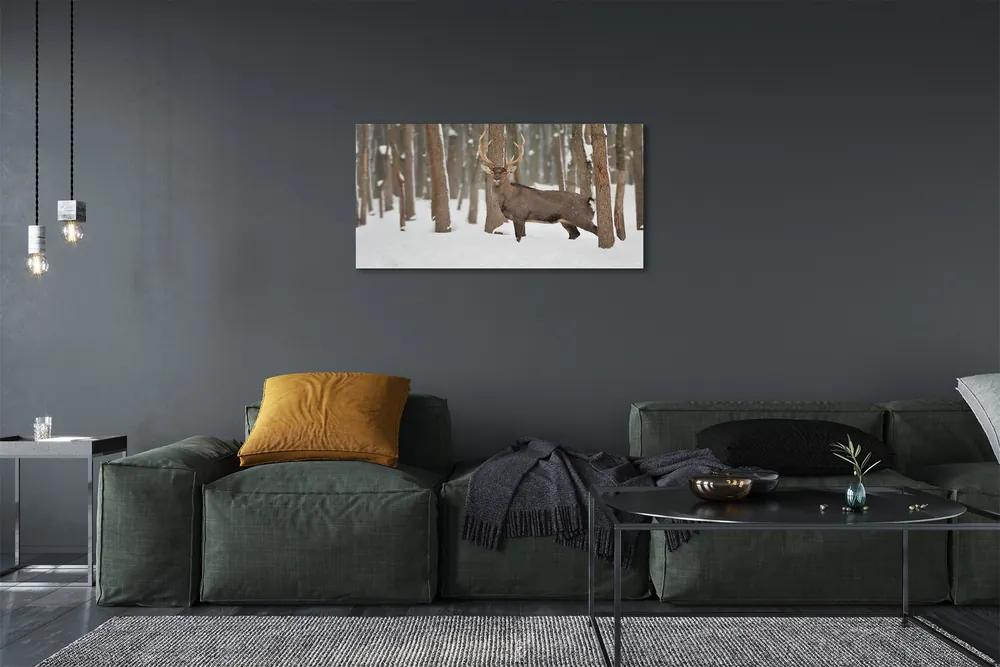 Obraz na plátne Jeleň zimné les 125x50 cm
