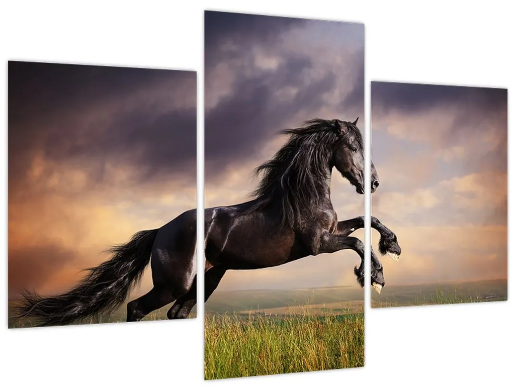 Obraz - Kone (90x60 cm)