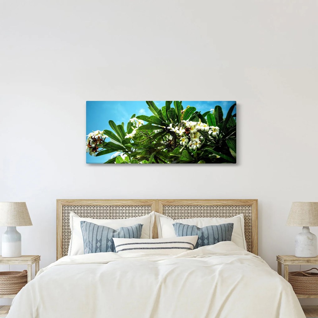 Obraz - Plumeria (120x50 cm)